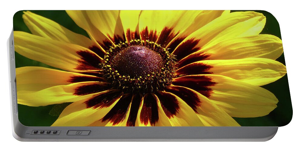 Flowers Portable Battery Charger featuring the photograph Denver Daisy by Cris Fulton