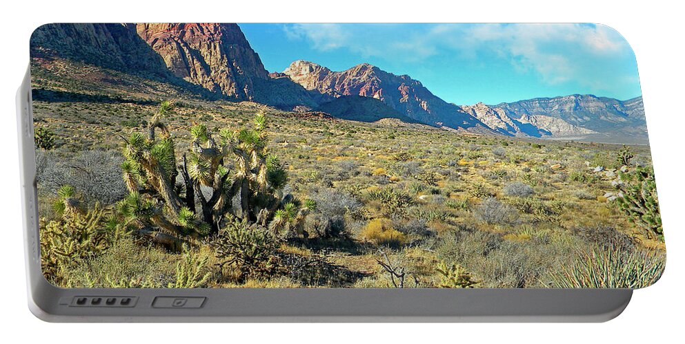 Frank Wilson Portable Battery Charger featuring the photograph Desert Beauty by Frank Wilson