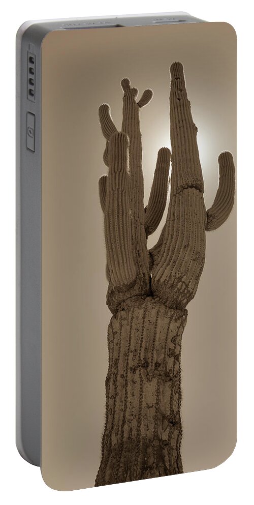Desert Portable Battery Charger featuring the photograph Desert cactus by Darrell Foster