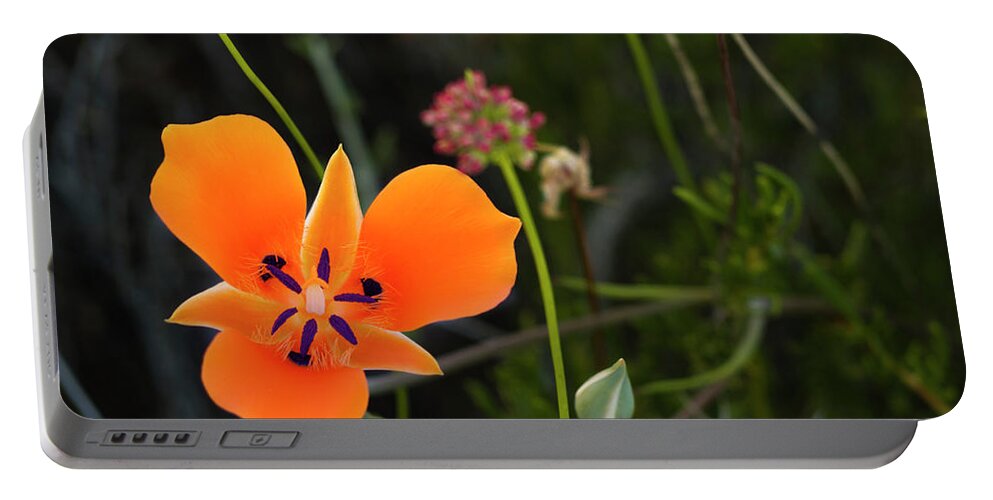 Desert Portable Battery Charger featuring the photograph Desert Flower 3 by Penny Lisowski