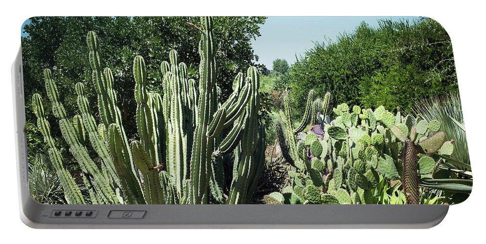 Desert Portable Battery Charger featuring the photograph Desert Garden by Catherine Lau