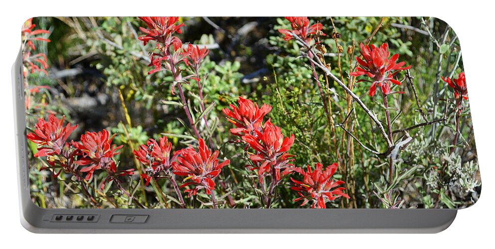 Desert Indian Paintbrush Portable Battery Charger featuring the photograph Desert Indian Paintbrush - Joshua Tree National Park by Glenn McCarthy Art and Photography