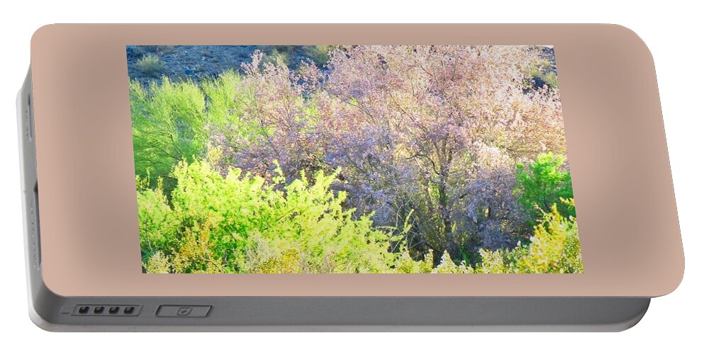  Arizona Portable Battery Charger featuring the photograph Desert Ironwood Tree in Bloom by Judy Kennedy