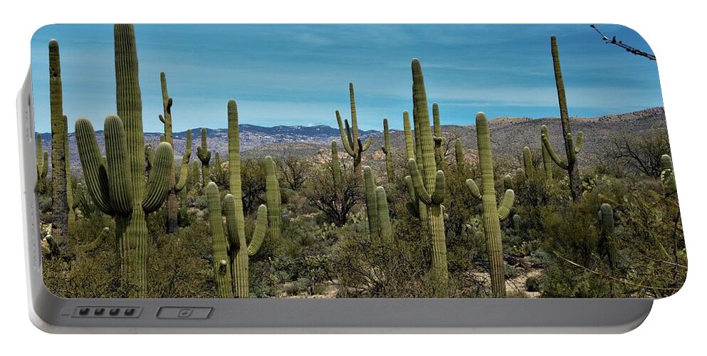 Arizona Portable Battery Charger featuring the photograph Desert Kings by David S Reynolds