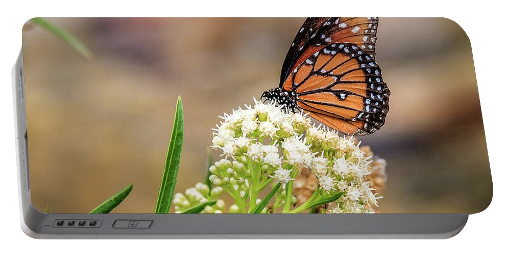 Arizona Portable Battery Charger featuring the photograph Desert Monarch by Dennis Swena