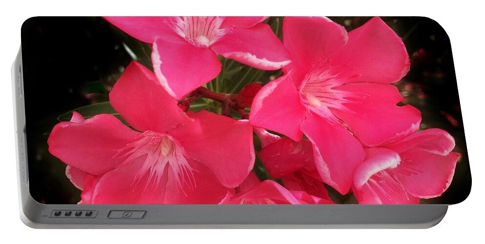 Desert Rose Portable Battery Charger featuring the photograph Desert Rose by Anne Sands