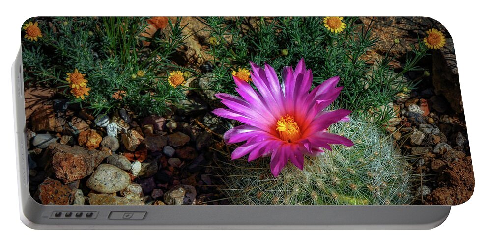 Flowers Portable Battery Charger featuring the photograph Desert Splash by Elaine Malott