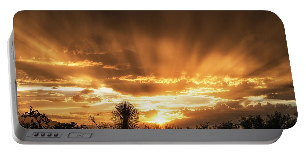 Arizona Portable Battery Charger featuring the photograph Desert Sunburst by Michael Newberry