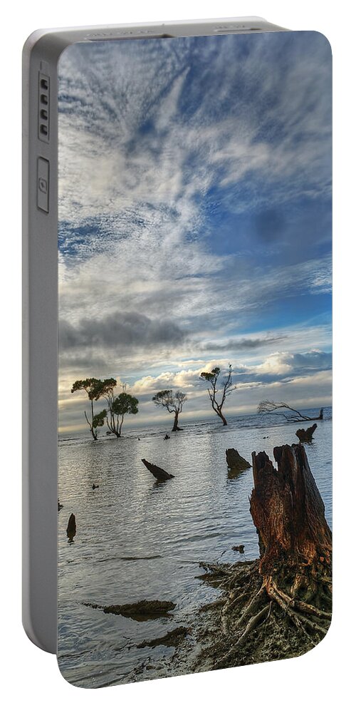 2015 Portable Battery Charger featuring the photograph Desolation by Robert Charity