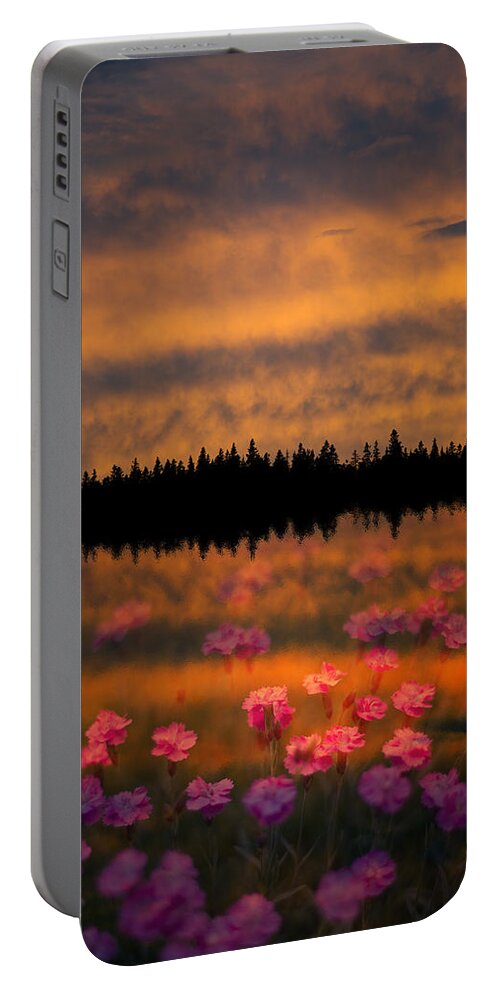 Canada Portable Battery Charger featuring the photograph Destiny by Doug Gibbons