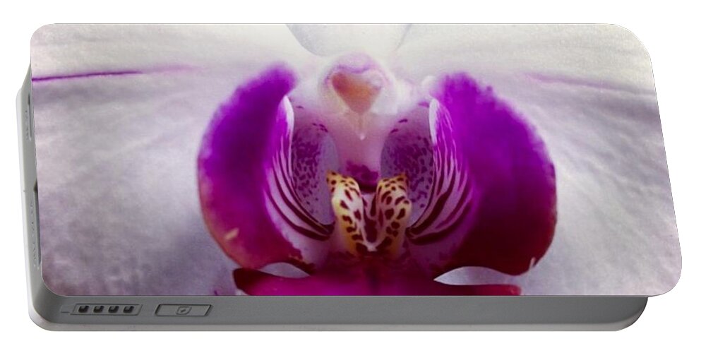 Orchid Portable Battery Charger featuring the photograph Love by Denise Railey