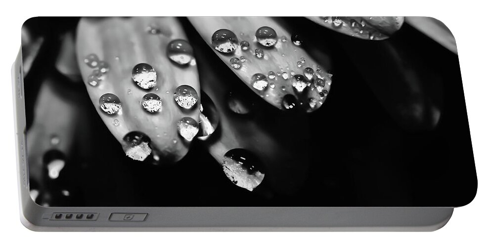 Dew Drops Portable Battery Charger featuring the photograph Dew Drops by David Patterson