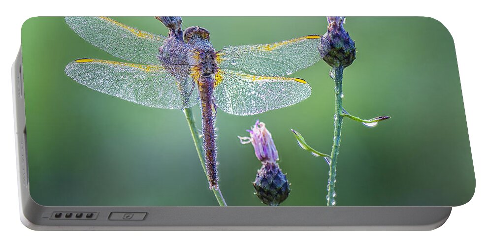 Dragonfly Portable Battery Charger featuring the photograph Dew Laden Dragonfly by Peg Runyan