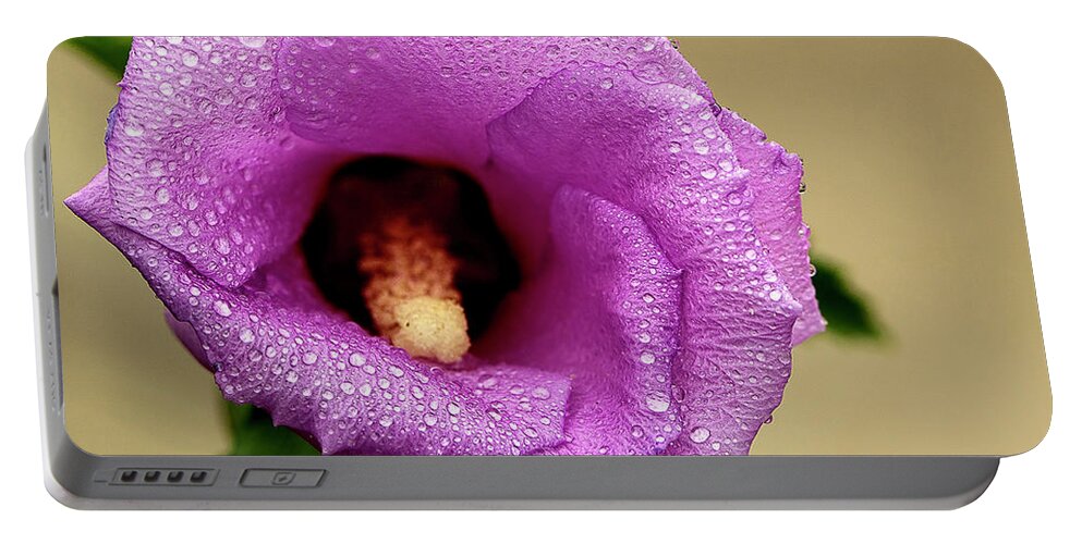 Flower Portable Battery Charger featuring the photograph Dew on the Flower by Reynaldo Williams