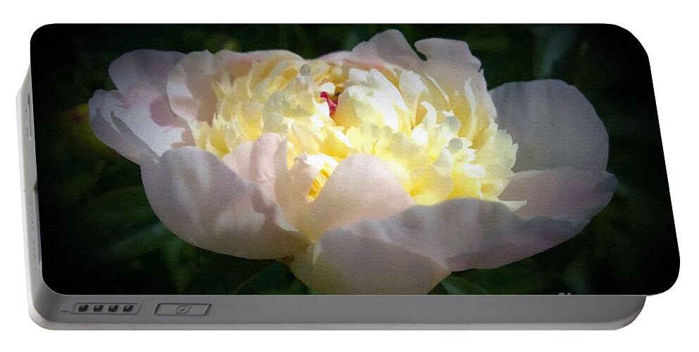 Digital Art Portable Battery Charger featuring the digital art Digital Art White Peony Flower by Delynn Addams