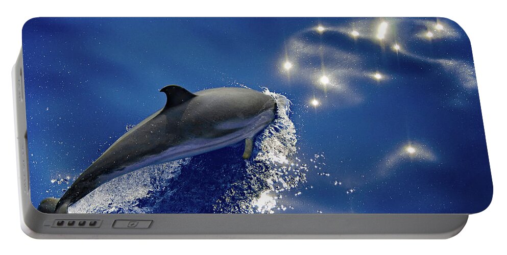 Dolphins Portable Battery Charger featuring the photograph Dive into the blue by Giovanni Allievi