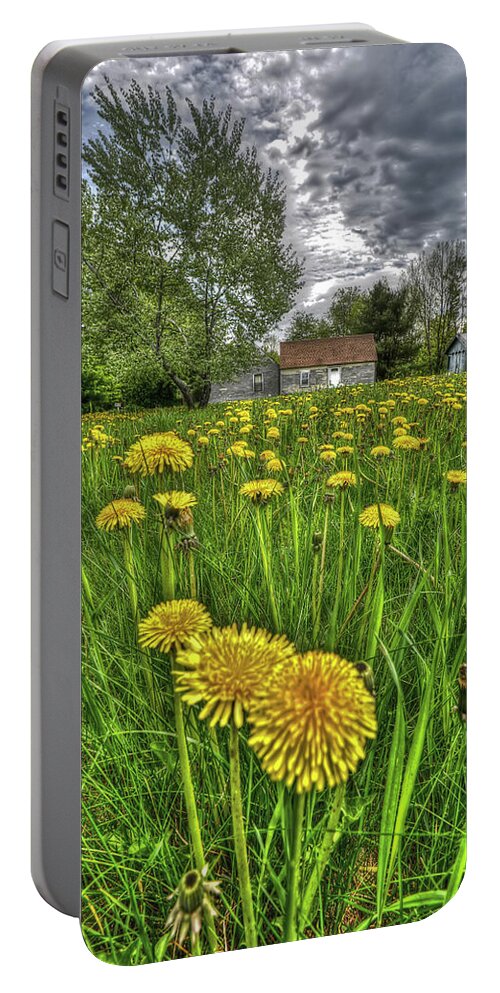 Dandelions Portable Battery Charger featuring the photograph Dlion Delit by Jeff Cooper