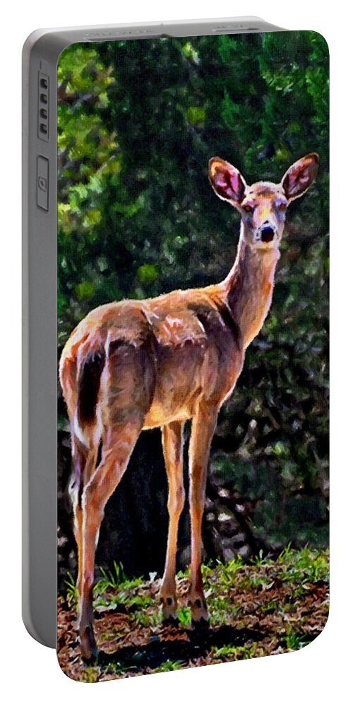 California Portable Battery Charger featuring the photograph Doe a Deer in Thousand Trails by Bob and Nadine Johnston