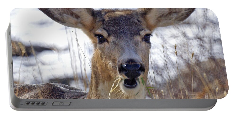 Doe Portable Battery Charger featuring the photograph Doe by Heather Coen