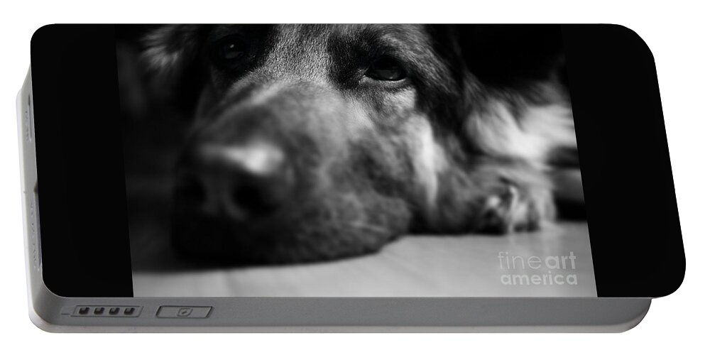 Tired Portable Battery Charger featuring the photograph Dog Eyes Always Watching by Frank J Casella