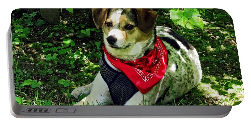 Dog Portable Battery Charger featuring the photograph Dog in Red Scarf by Susan Savad