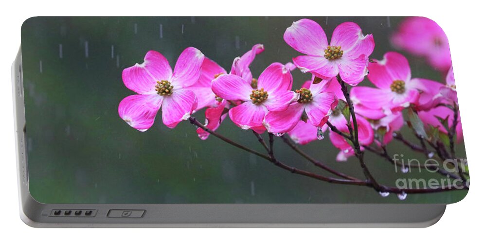 Dogwood Flowers Portable Battery Charger featuring the photograph Dogwood Flowers in the Rain 0552 by Jack Schultz