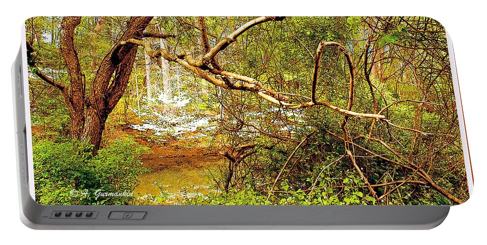 Dogwood Tree Portable Battery Charger featuring the photograph Dogwood Tree in the Forest Spring by A Macarthur Gurmankin