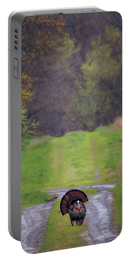 Turkey Portable Battery Charger featuring the photograph Doing the Turkey Strut by Susan Rissi Tregoning