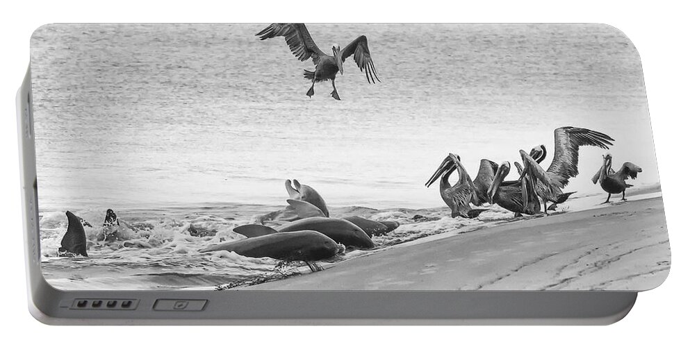 Dolphin Portable Battery Charger featuring the photograph Dolphin and Pelican Party by Patricia Schaefer