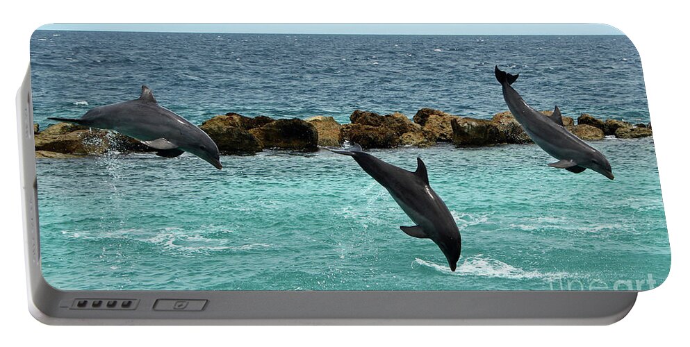 Dolphins Portable Battery Charger featuring the photograph Dolphins Showtime by Adriana Zoon