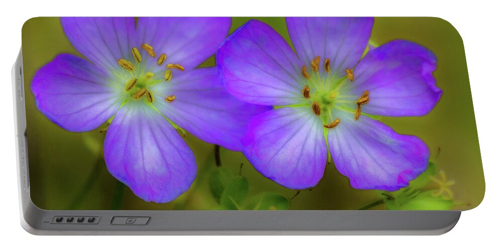 Flower Portable Battery Charger featuring the photograph Double Beauty by Rod Best