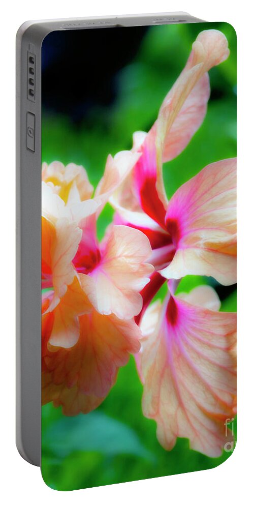 Hibiscus Portable Battery Charger featuring the photograph Double Peach Hibiscus two by Ken Frischkorn