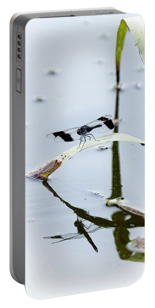 Insects Portable Battery Charger featuring the photograph Dragon fly by Patrick Kain