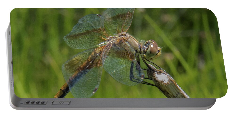 Dragonfly Portable Battery Charger featuring the photograph Dragonfly 8 by Christy Garavetto