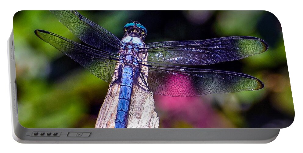 Nature Portable Battery Charger featuring the photograph Dragonfly by DB Hayes