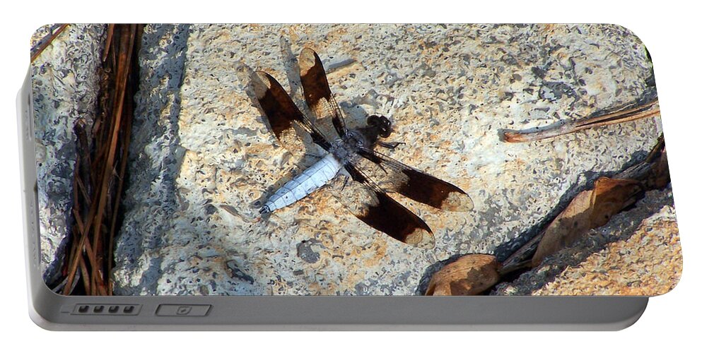 Insects Portable Battery Charger featuring the photograph Dragonfly Display by Jennifer Robin