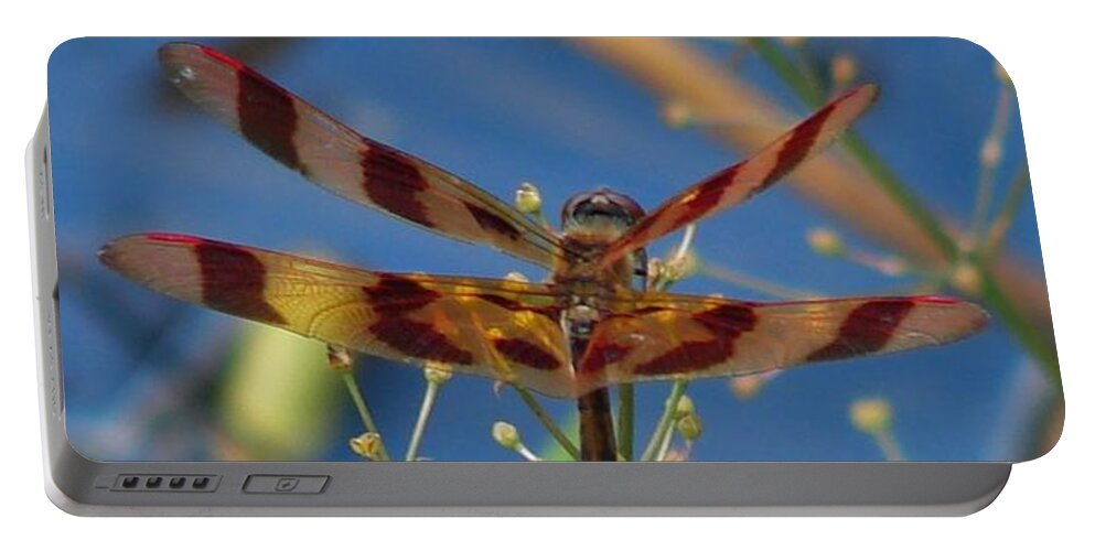 Insect Portable Battery Charger featuring the photograph Dragonfly Double by Carl Moore