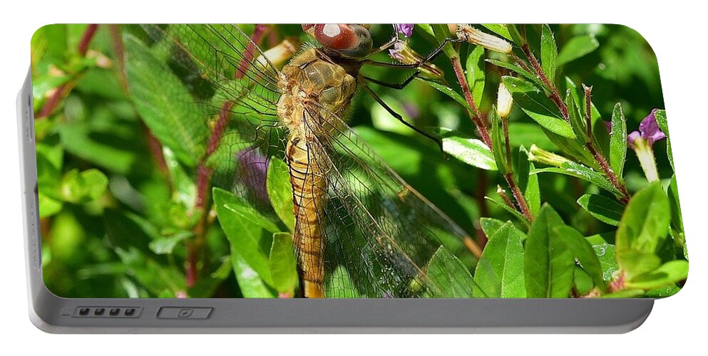 Linda Brody Portable Battery Charger featuring the photograph Dragonfly III by Linda Brody