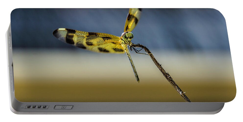 Dragonfly Portable Battery Charger featuring the photograph Dragonfly in the wind by Wolfgang Stocker