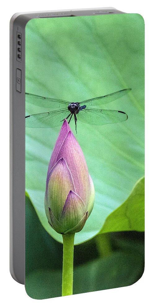 Dragonfly Portable Battery Charger featuring the photograph Dragonfly Landing on Lotus by William Bitman