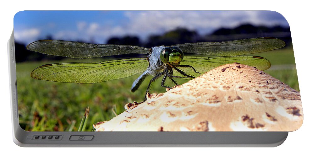 Dragonfly Portable Battery Charger featuring the photograph Dragonfly on a mushroom by Christopher Mercer
