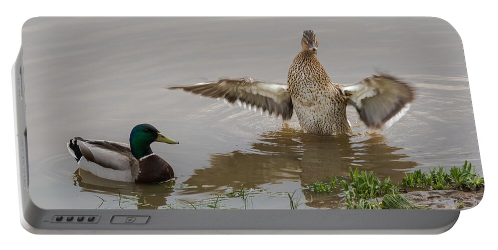 Mallards Portable Battery Charger featuring the photograph Drake and Hen by Holden The Moment