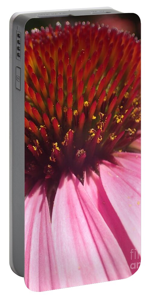 Flower Portable Battery Charger featuring the photograph Drama Diva by Christina Verdgeline