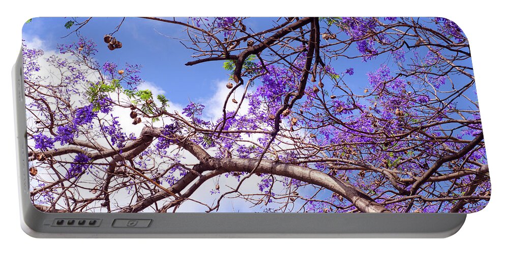 Jacaranda Portable Battery Charger featuring the photograph Dream of Spring by AM FineArtPrints