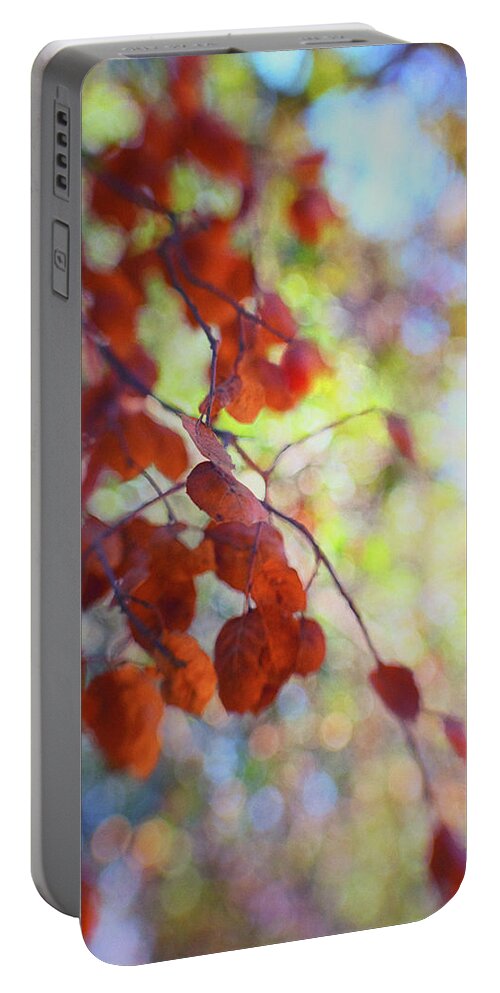 Colorful Portable Battery Charger featuring the photograph Dreaming on a Summer Day by Marnie Patchett