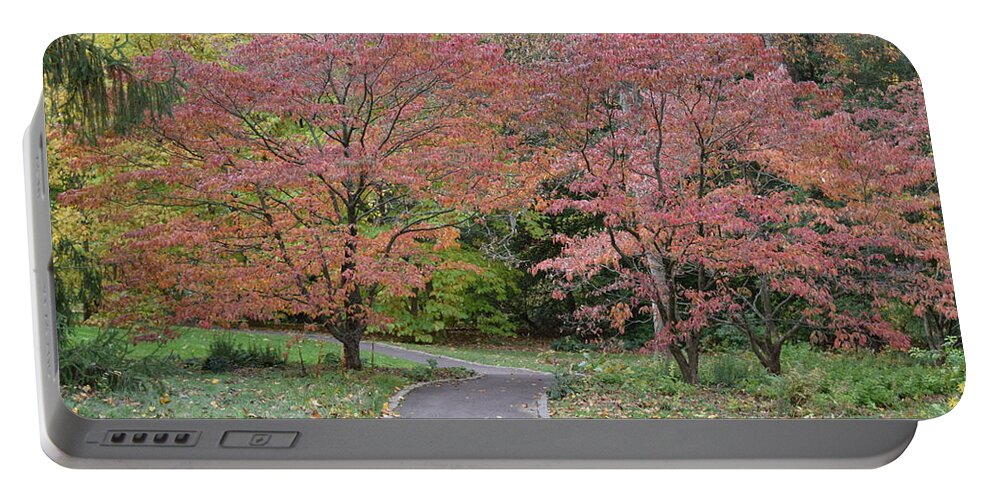 Tree Portable Battery Charger featuring the photograph Dreamwalk by Deborah Crew-Johnson