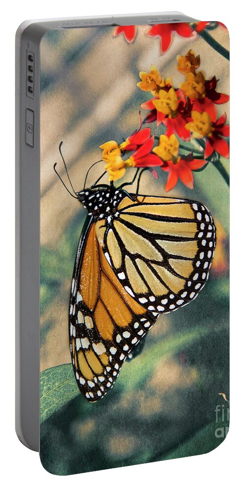 Mariola Portable Battery Charger featuring the photograph Dreamy Butterfly by Mariola Bitner