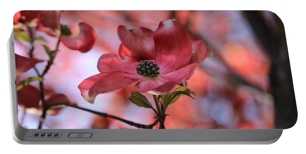 Dreamy Dogwood Portable Battery Charger featuring the photograph Dreamy dogwood by Lynn Hopwood