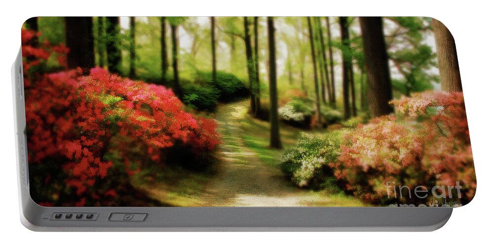Landscape Portable Battery Charger featuring the photograph Dreamy Path by Lois Bryan