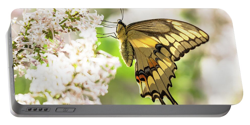 Cheryl Baxter Photography Portable Battery Charger featuring the photograph Dreamy Swallowtail Butterfly by Cheryl Baxter